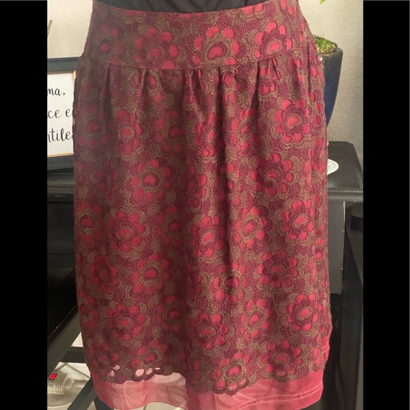 Cynthia Steffe Garnet Silk Skirt, Sheer overlay lined w-floral embroidery, 6 - Picture 1 of 6